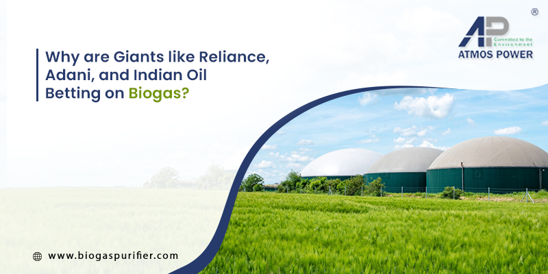 Biogas Purification