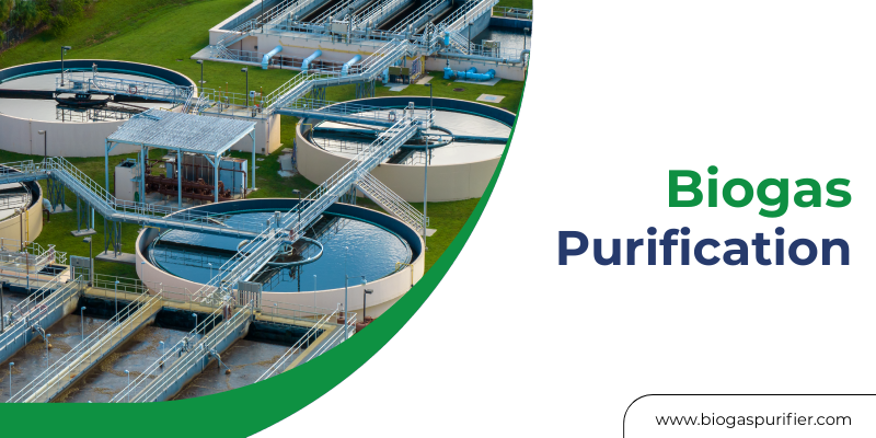 biogas purification